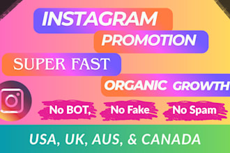 organic instagram growth daily targeted followers