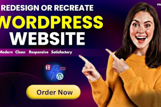 redesign or recreate wordpress website for your business