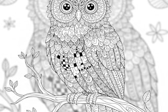 draw coloring book pages for children and adults