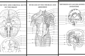 make an anatomy and physiology coloring book for amzon KDP