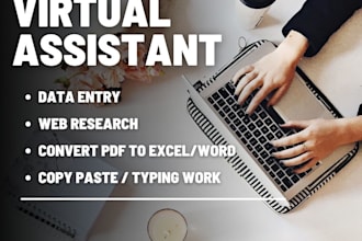 do data entry, web research, pdf to excel, copy paste, typing, excel data
