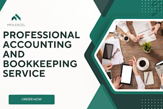 provide professional accounting and bookkeeping service