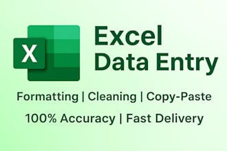 do accurate excel data entry, formatting and clean spreadsheets