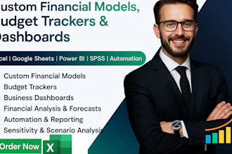 build an investor ready excel financial model and financial projections analysis