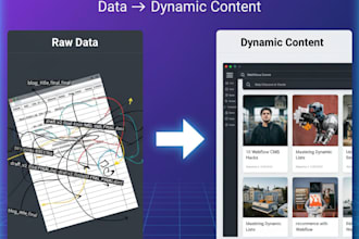 set up webflow cms and dynamic content for your website