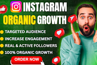 do fast instagram organic growth and promotion