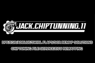 car chip tuning  ecu remapping services