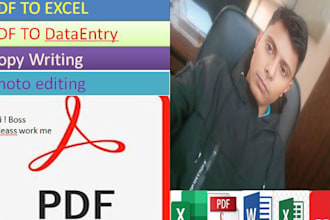 do copy writing pdf to word excel or product data entry work