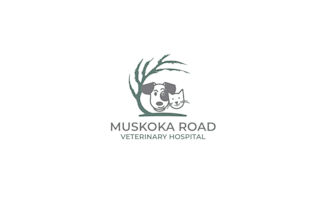 design unique veterinary clinic logo