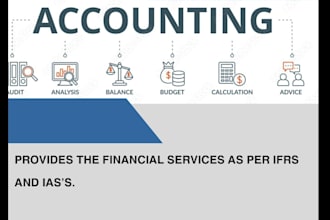 provide accounting audit and back office financial support