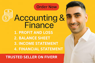 provide balance sheet, financial statements, profit and loss