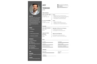 design a professional resume or CV