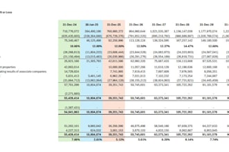 create a professional financial budget and fpa model