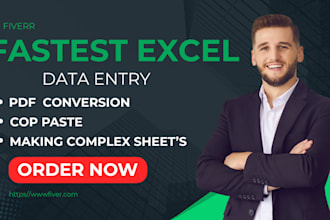 do fastest data entry, PDF to excel, copy paste and typing