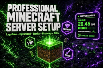 setup and optimize your professional minecraft server