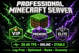 set up and optimize your professional minecraft server