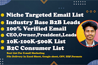 build niche targeted email list and b2b leads for email marketing