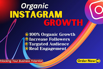provide organic instagram growth with promotion