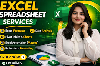 do professional excel data entry, spreadsheets, formulas, and document editing