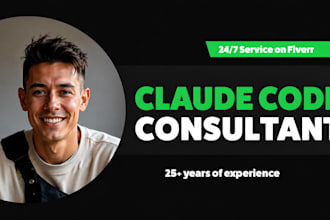 be your claude code consultant
