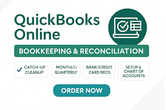 do professional accounting and bookkeeping for your business