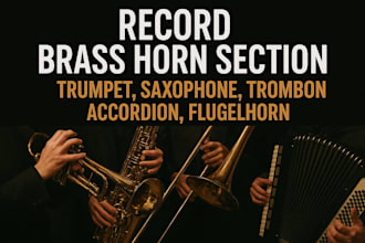 record  brass horn section trumpet, saxophone, trombone, accordion, flugelhorn
