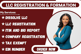 register your llc, handle 5472 and 1120 filing for foreign owned US llc
