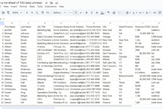 clean your b2b contact  excel database CRM ready