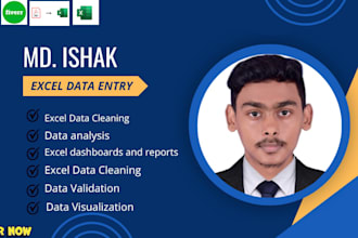 excel data cleaning, dashboards, data cleaning
