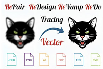 redesign,vectorization and enhancement for modern,brand perfect logo