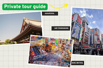 be your private tour guide in tokyo, japan