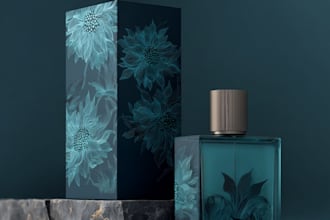 professional packaging design and innovative solutions