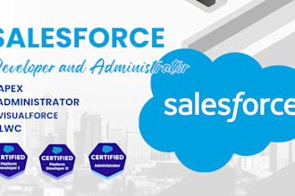 be your saleforce developer and administrator