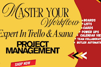 set up trello and asana boards, automations, and integrations