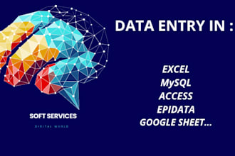 entry your data fast and accurately on remote