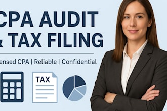 prepare CPA audit, tax filing, and tax return services