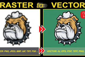do vector tracing, image to vector in 1hr