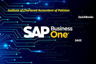 manually enter the image, PDF data, into sap b1, qb and in excel