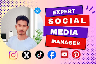 be your social media virtual assistant for account handling and daily posts