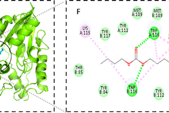 do molecular docking, 2d 3d interactions, and admet analysis