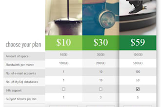 develop or design a responsive pricing table