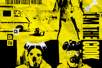 design pet posters for you