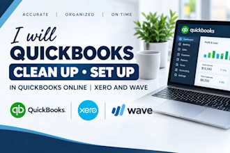 quickbooks clean up set up, reconciliation in quickbooks online xero and wave