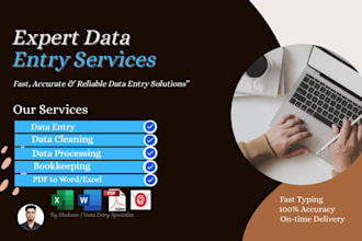 do tally and data entry processing and bookkeeping expert