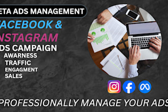 manage meta ads campaigns for sales, traffic, awareness and engagement