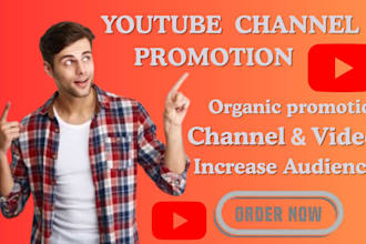 boosterize your youtube channel with strategic video promotion