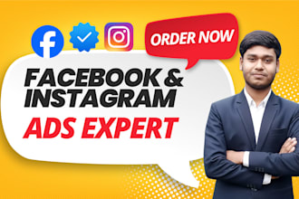 manage facebook ads, instagram ads and meta advertising