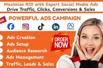create and manage facebook ads campaign meta ads intagram ads tik tok ads fb ads