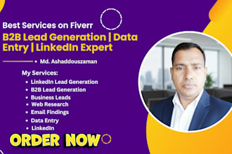 linkedin b2b lead generation, data entry and web research
