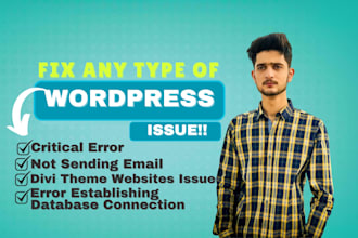 professional wordpress bug fix